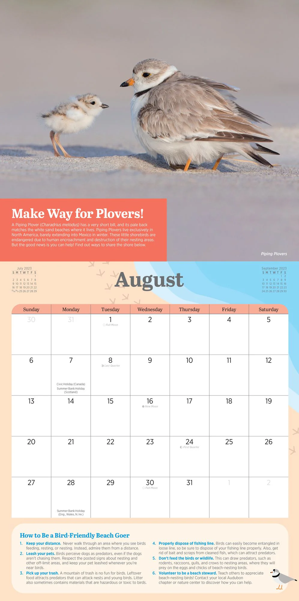 2023 Kids' Birding Activity Wall Calendar - Image 11