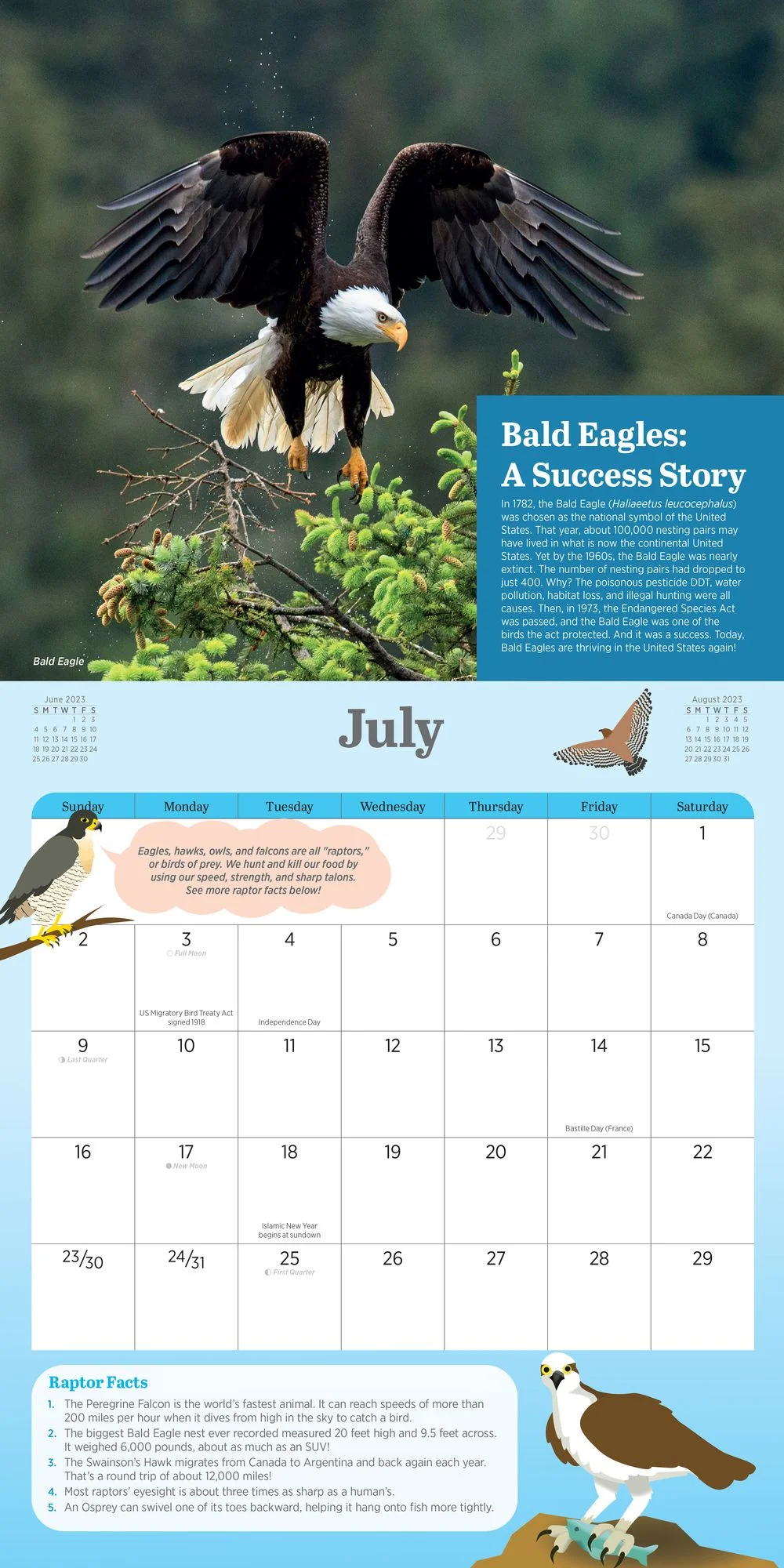 2023 Kids' Birding Activity Wall Calendar - Image 13