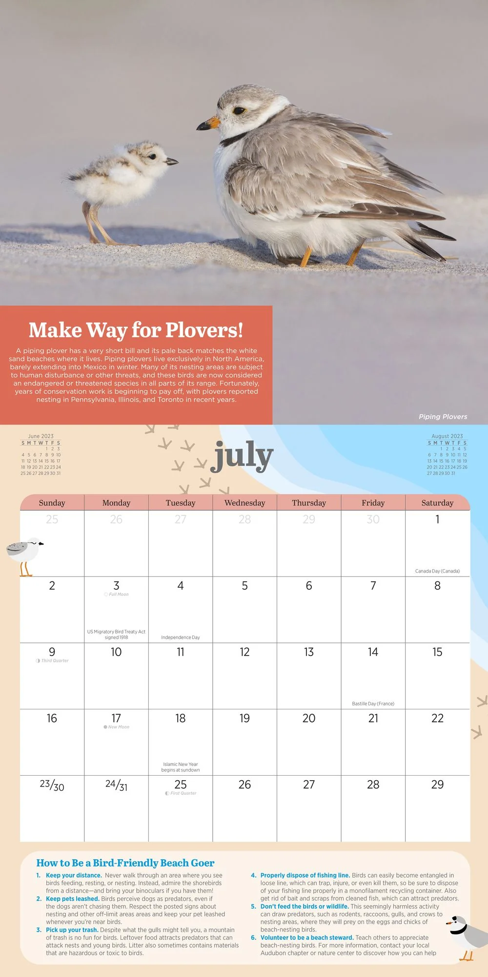 2023 Kids' Birding Activity Wall Calendar - Image 2