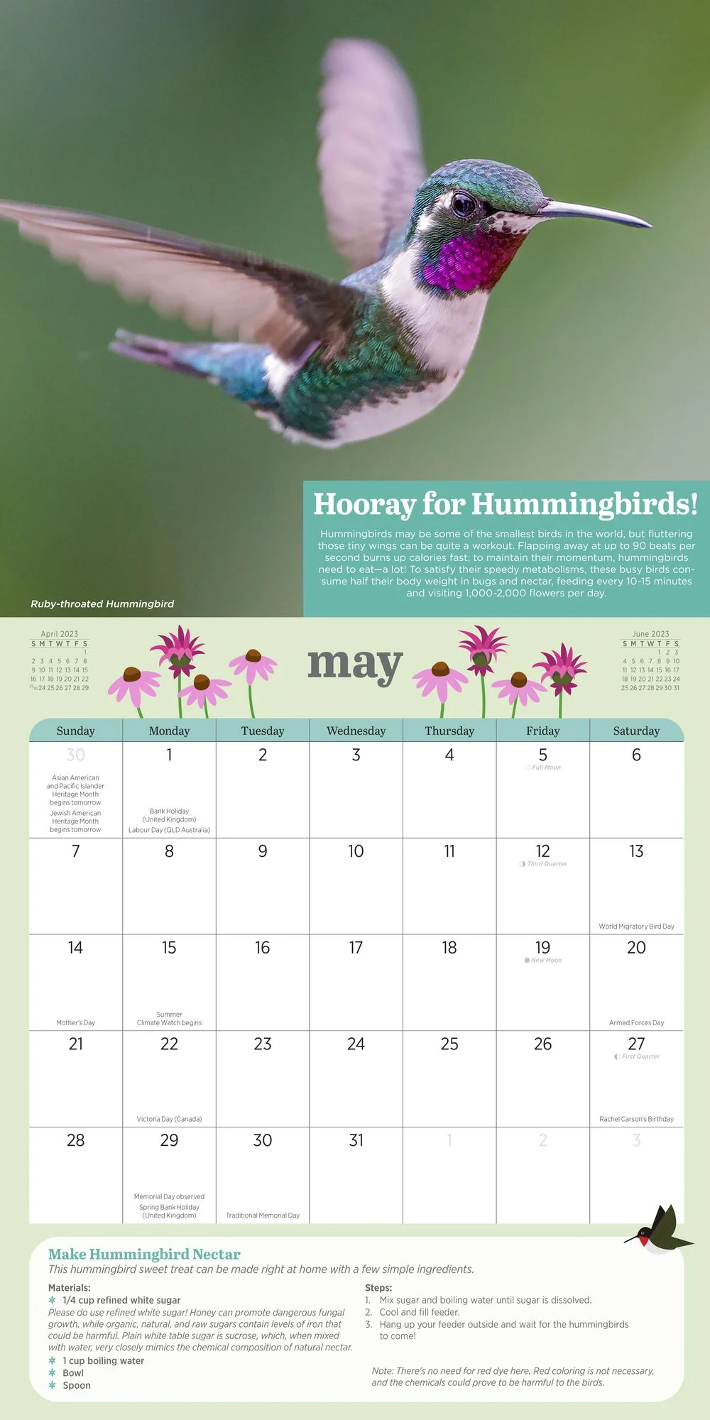 2023 Kids' Birding Activity Wall Calendar - Image 4