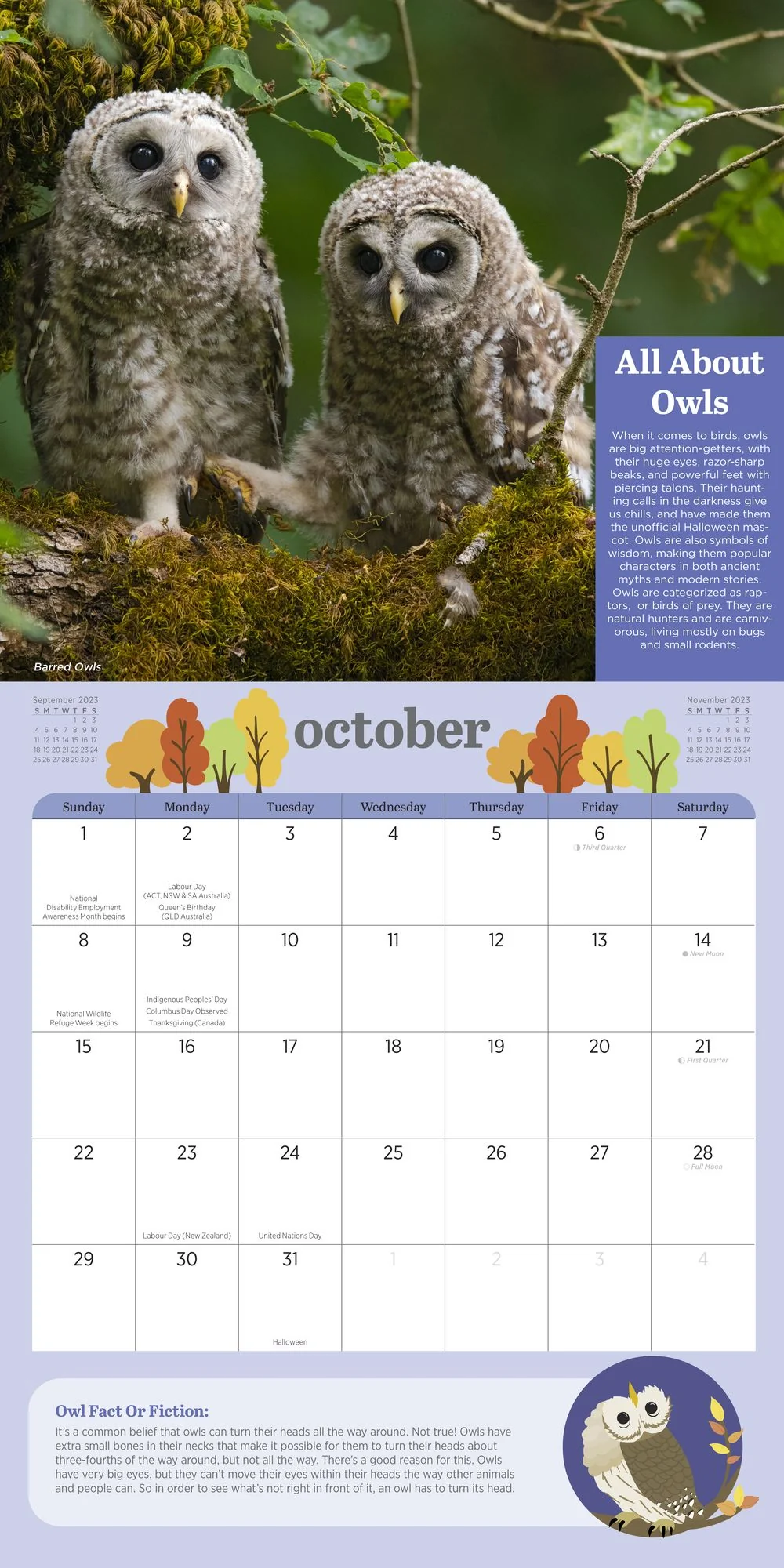 2023 Kids' Birding Activity Wall Calendar - Image 5