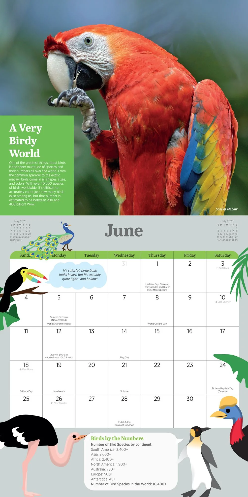 2023 Kids' Birding Activity Wall Calendar - Image 7
