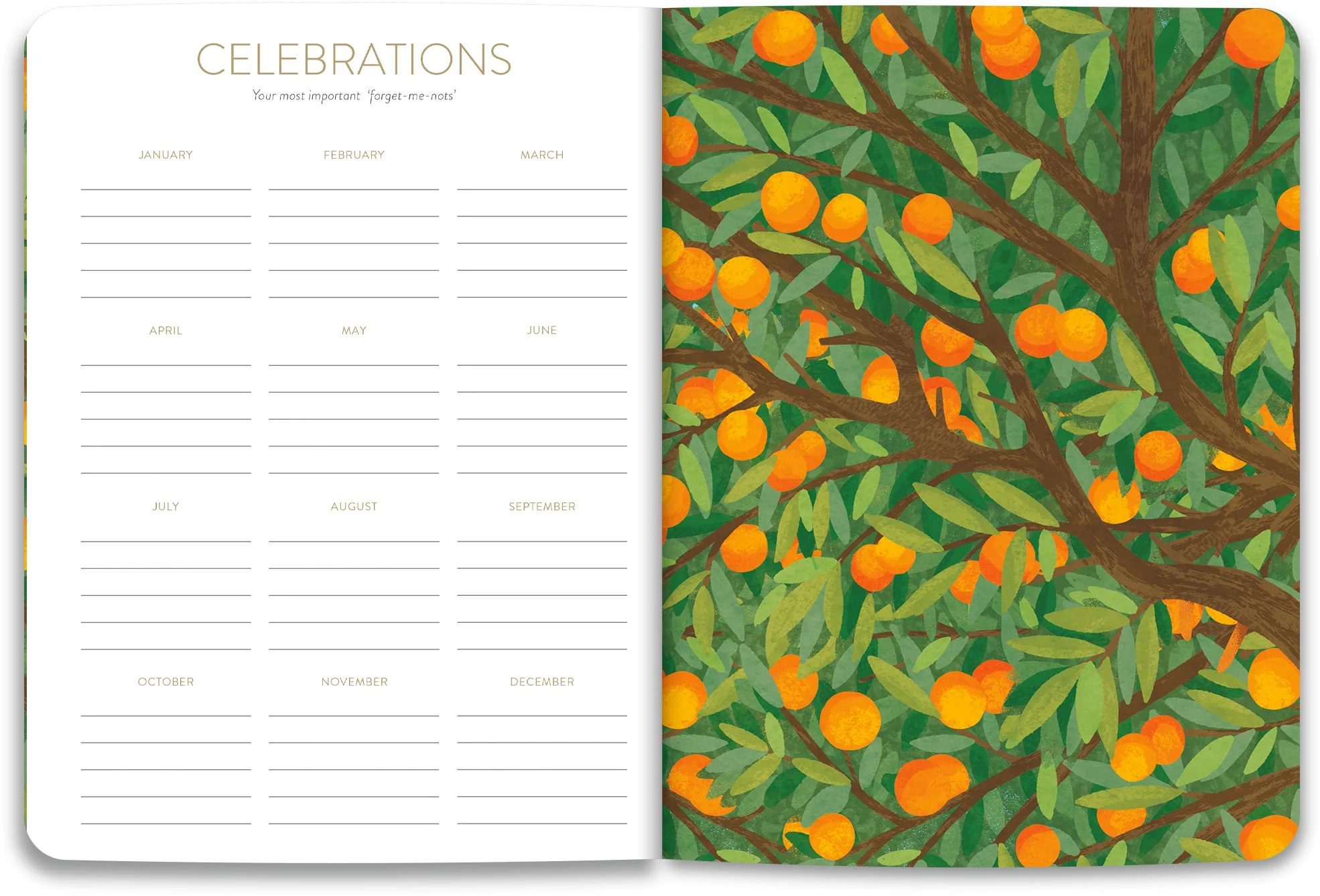 2026-2027 On the Bright Side Mediterranean Cats 17 Month Softcover Monthly Planner - Image 6