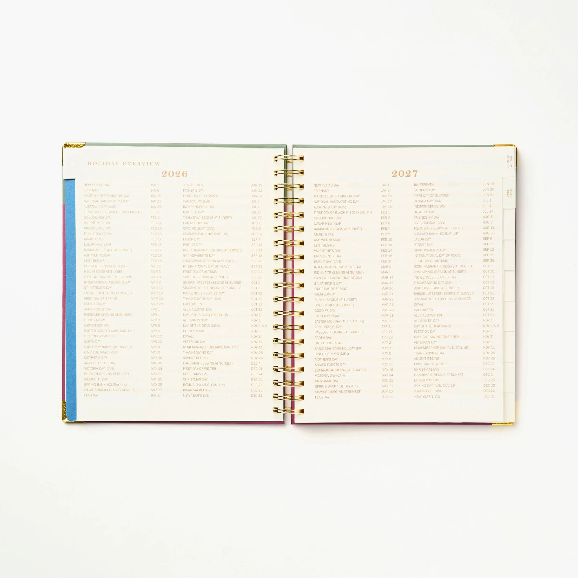 2026-2027 Sneaky Cat Bookshelf 17-Month Large Spiral Planner - Image 14