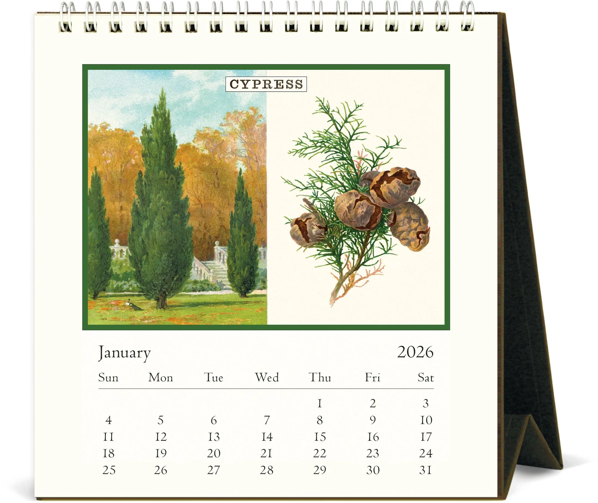 2026 Cavallini Arboretum Desk Calendar - Image 2