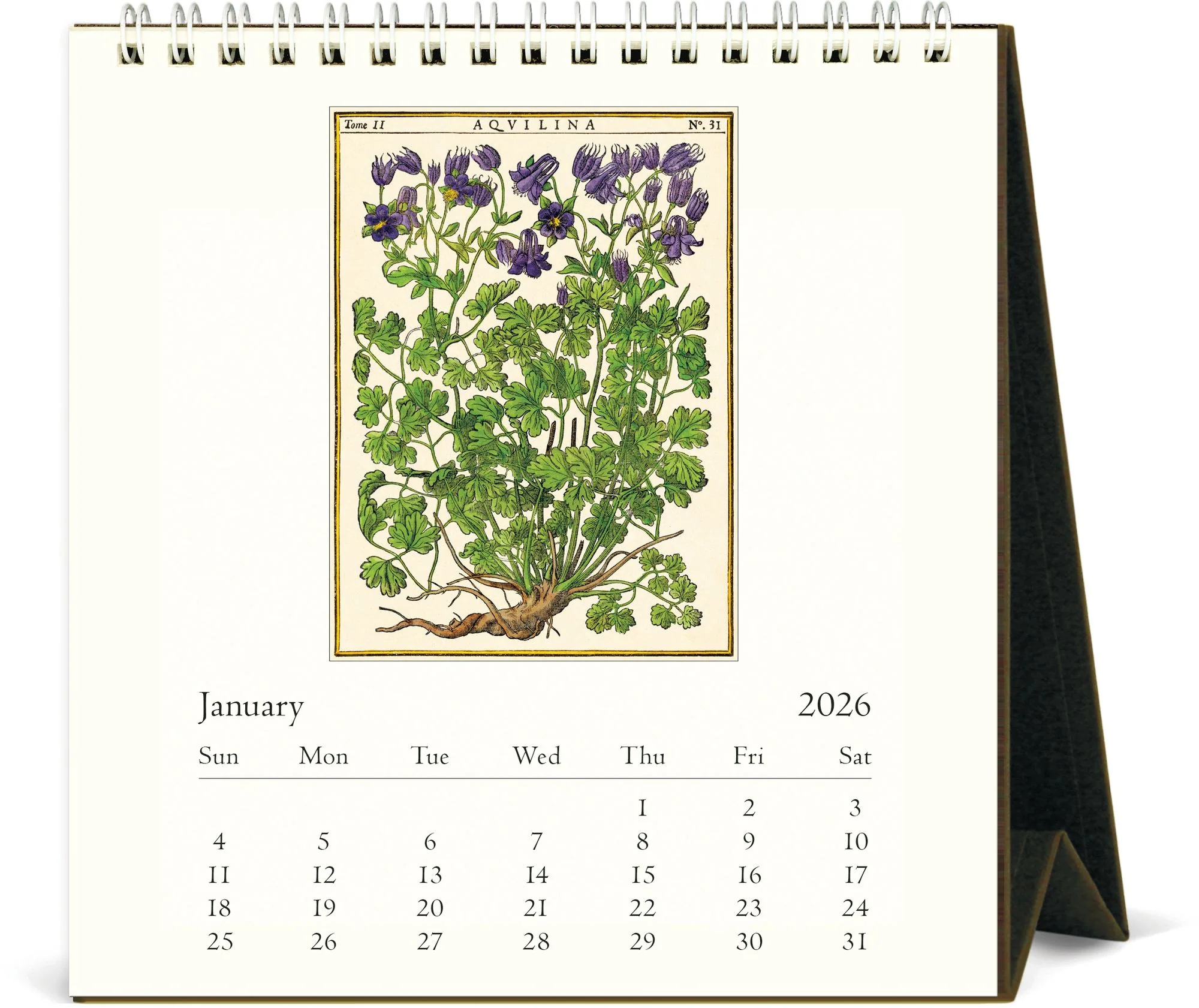 2026 Cavallini Herbarium Desk Calendar - Image 2