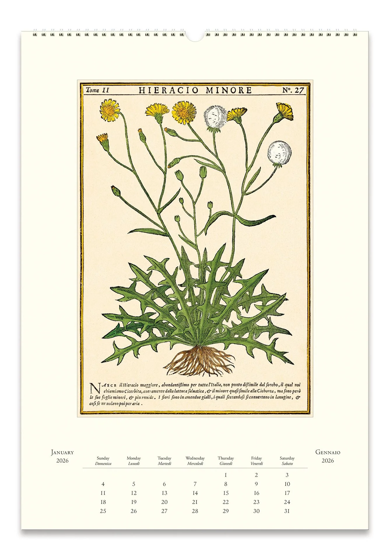 2026 Cavallini Herbarium Wall Calendar - Image 2