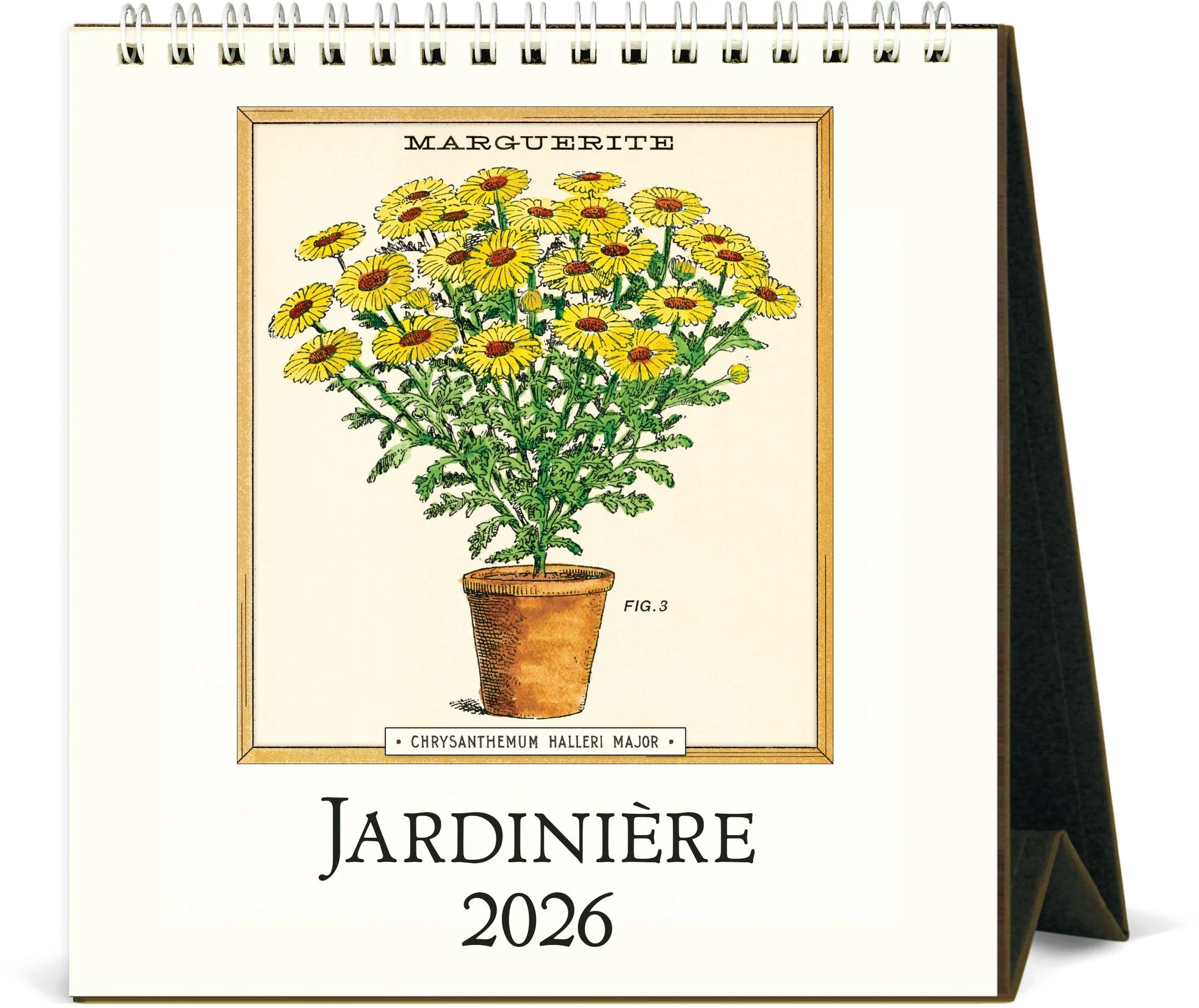 2026 Cavallini Jardiniere Desk Calendar
