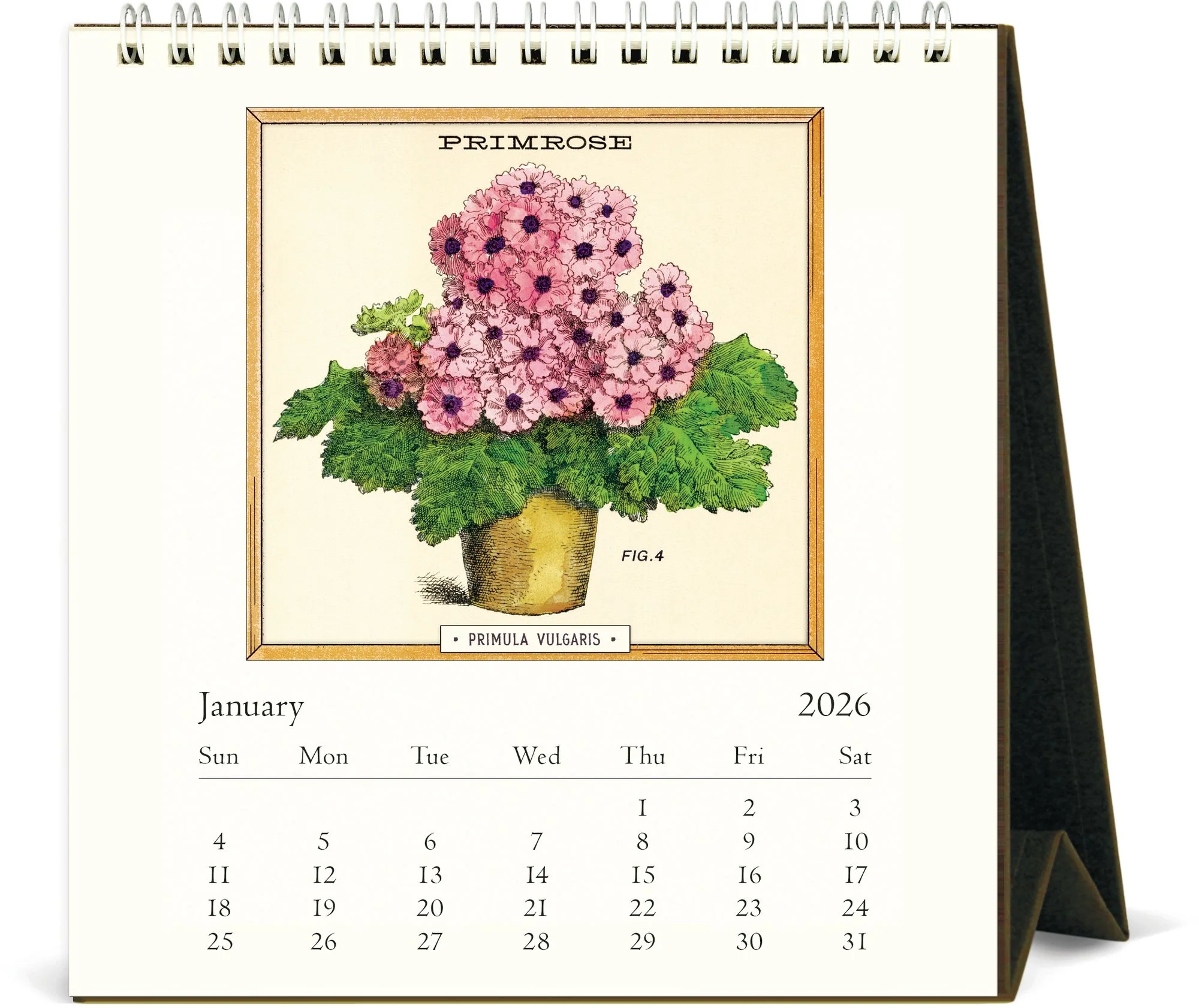 2026 Cavallini Jardiniere Desk Calendar - Image 2