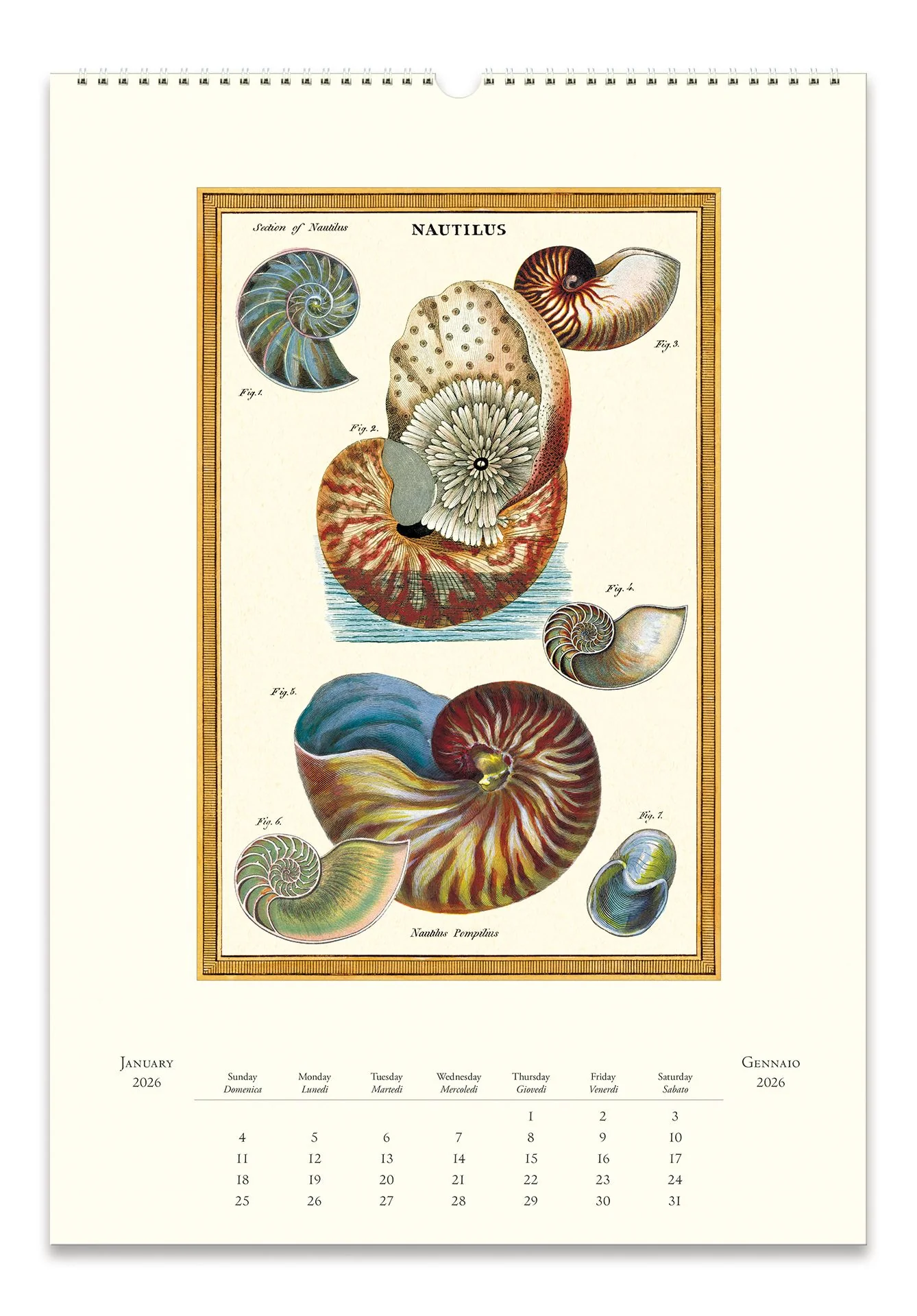 2026 Cavallini Sea Life Wall Calendar - Image 2