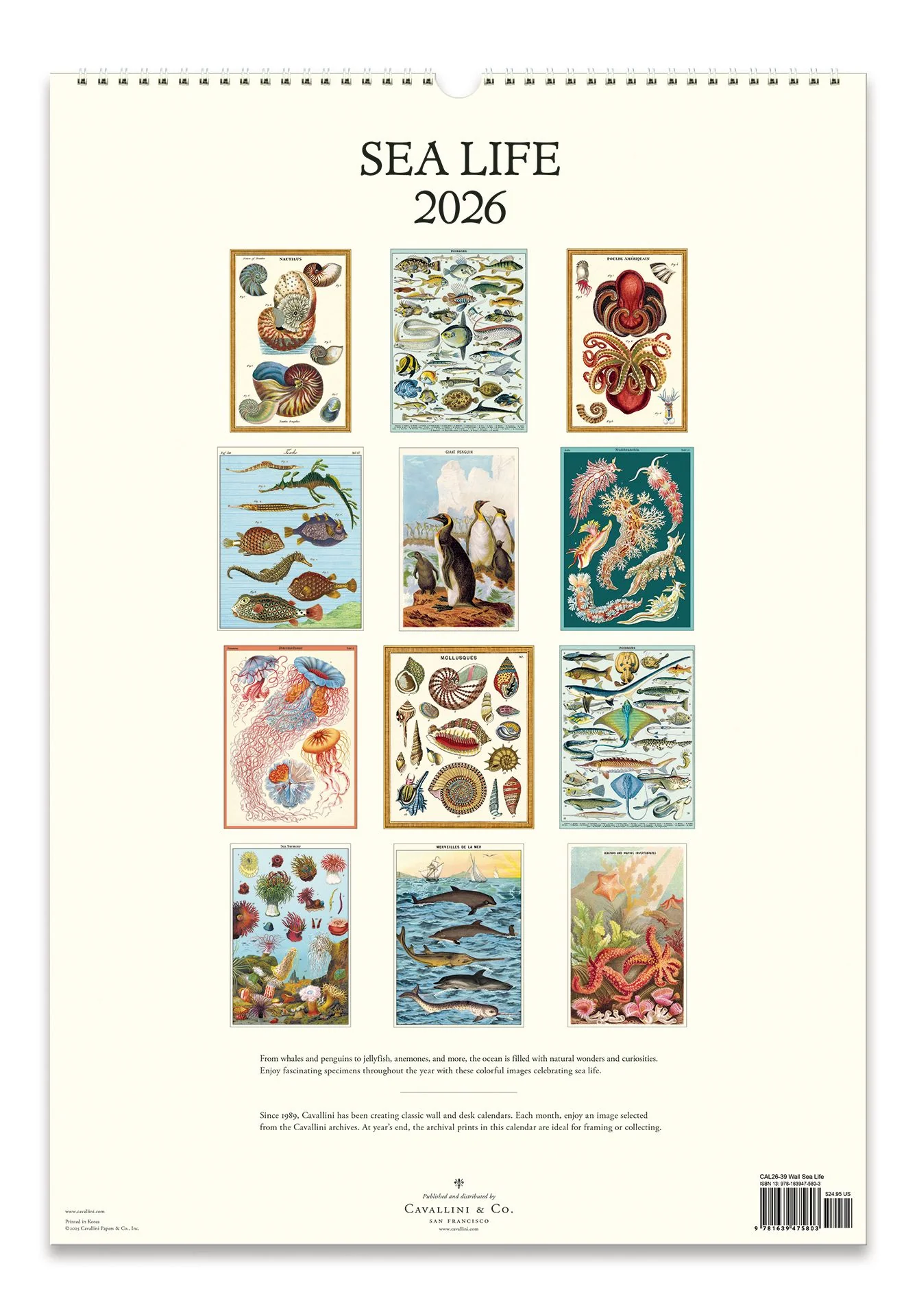 2026 Cavallini Sea Life Wall Calendar - Image 3