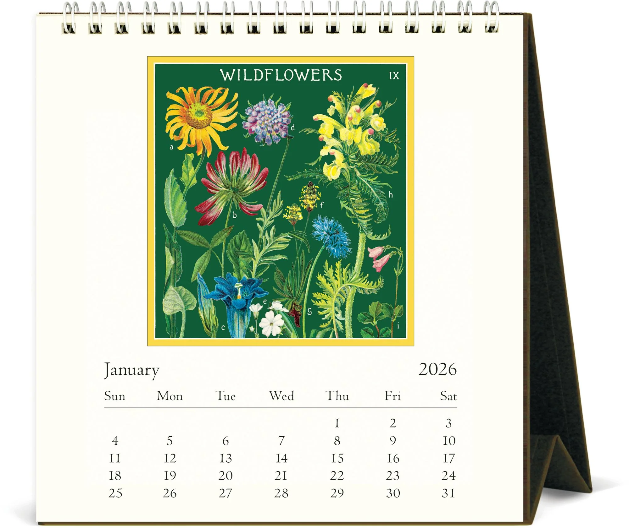 2026 Cavallini Wildflowers Desk Calendar - Image 2