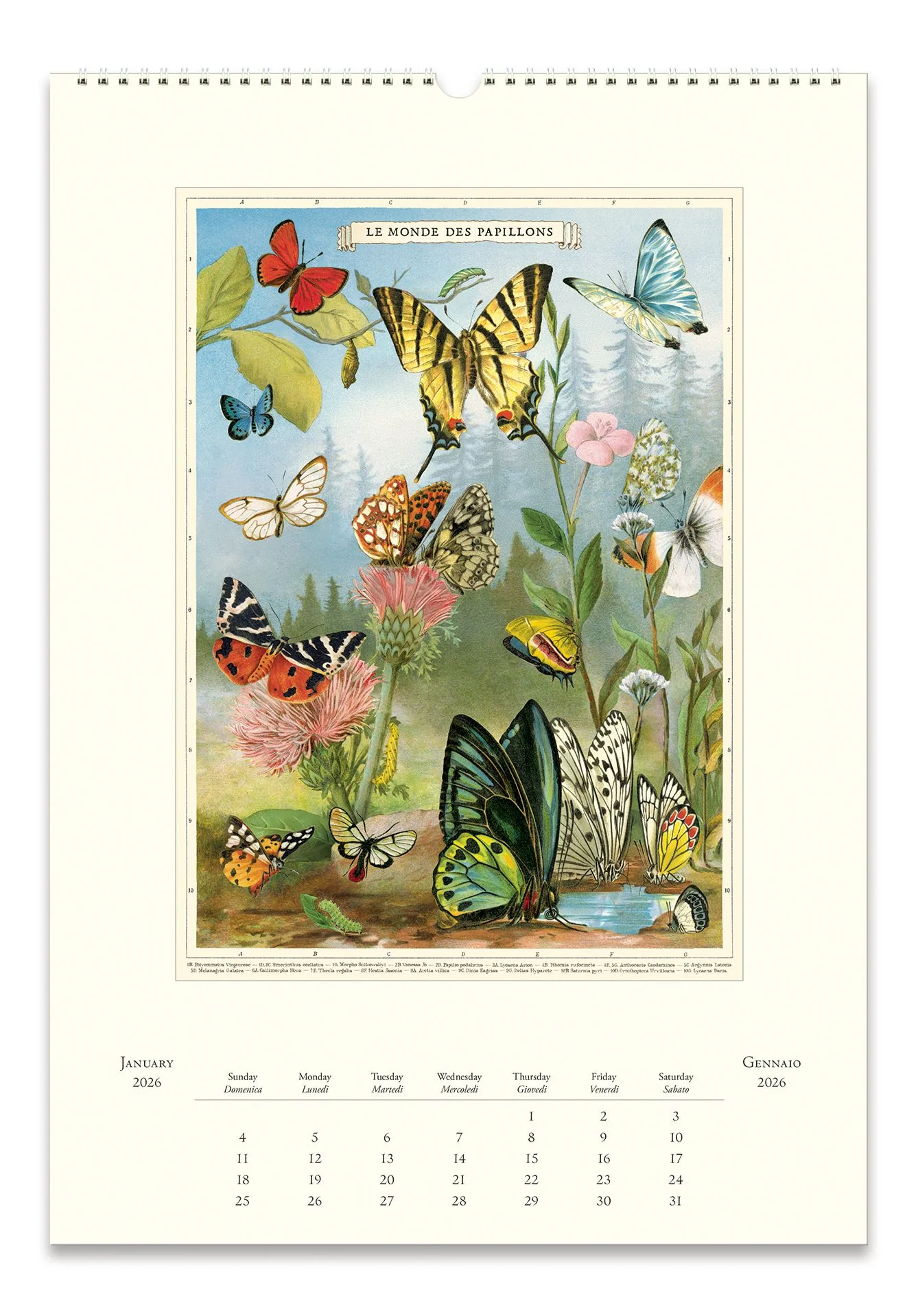 2026 Entomology Wall Calendar - Image 2