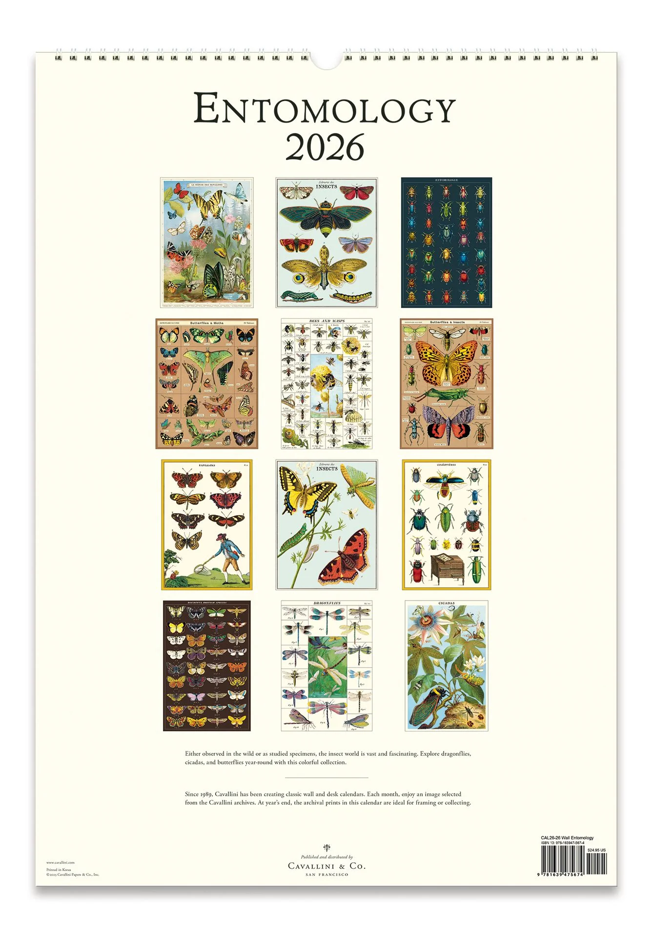 2026 Entomology Wall Calendar - Image 3