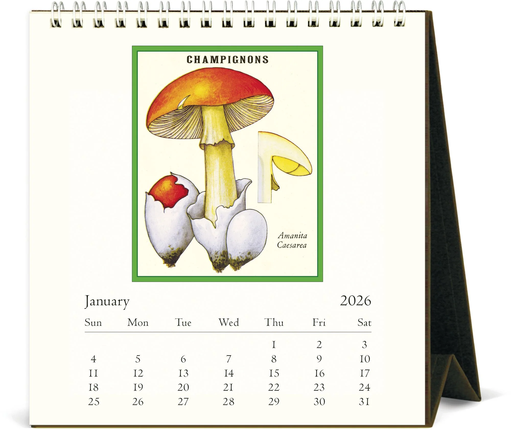 2026 Foraging Desk Calendar - Image 2