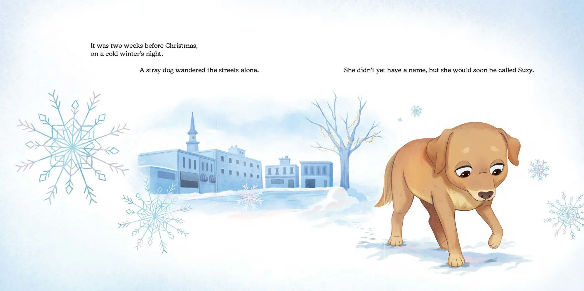 A Stray Dog for Christmas: How Suzy Was Adopted - Image 3
