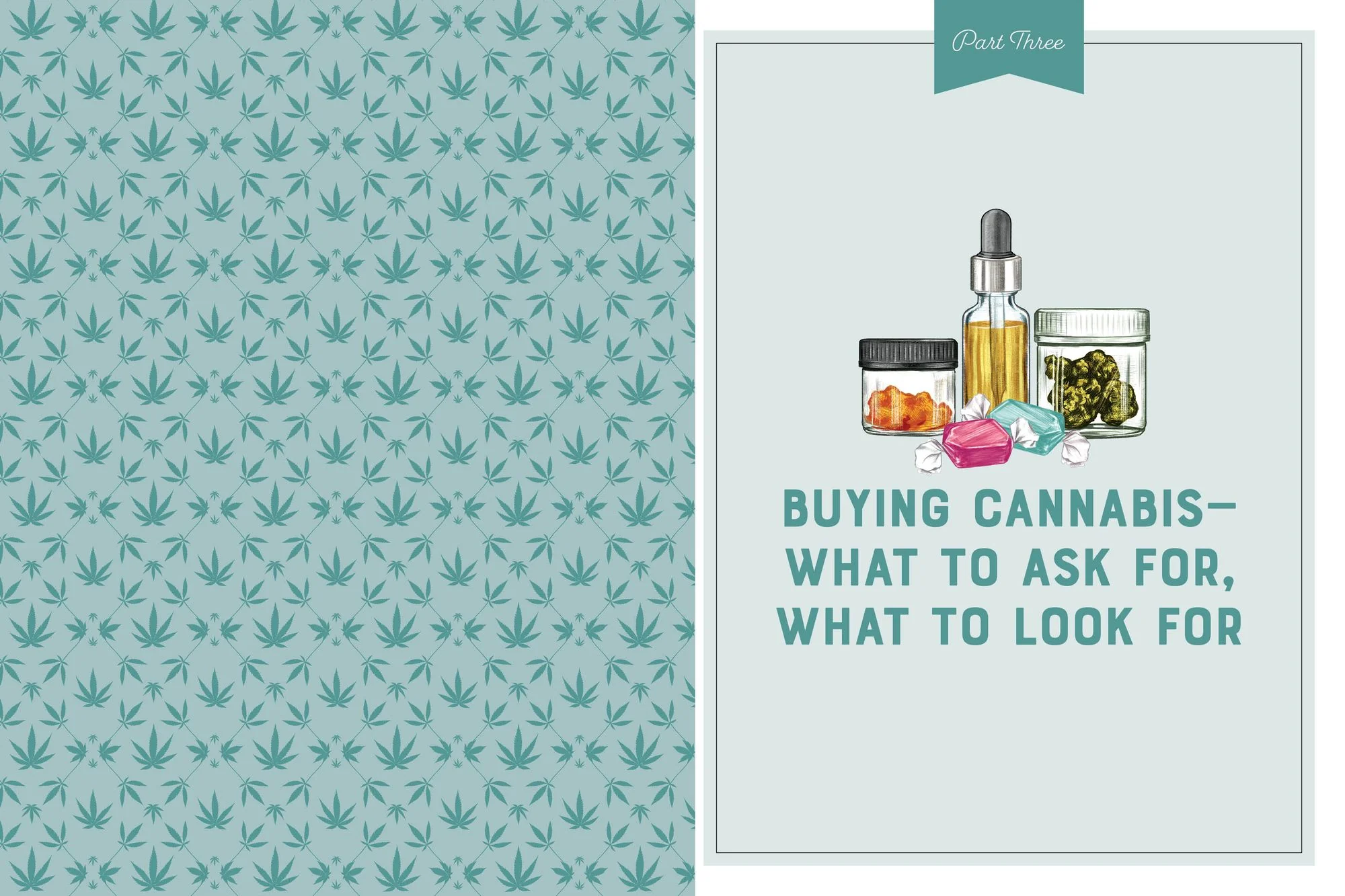 A Woman's Guide to Cannabis: Using Marijuana to Feel Better, Look Better, Sleep Better-and Get High Like a Lady - Image 2