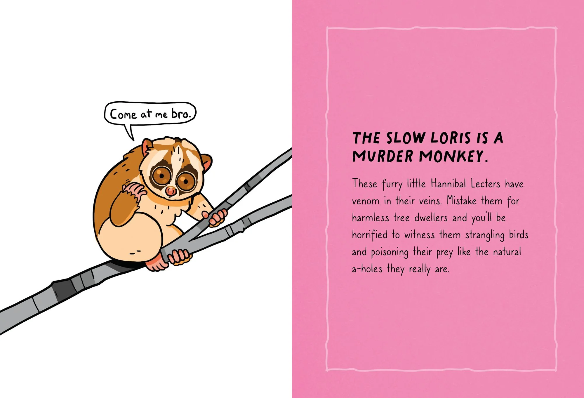 Animals Are A-holes: Meet the Biggest Jerks of the Animal Kingdom - Image 4