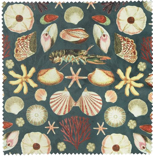 Archive Oceans Shell Glasses Case - Image 3