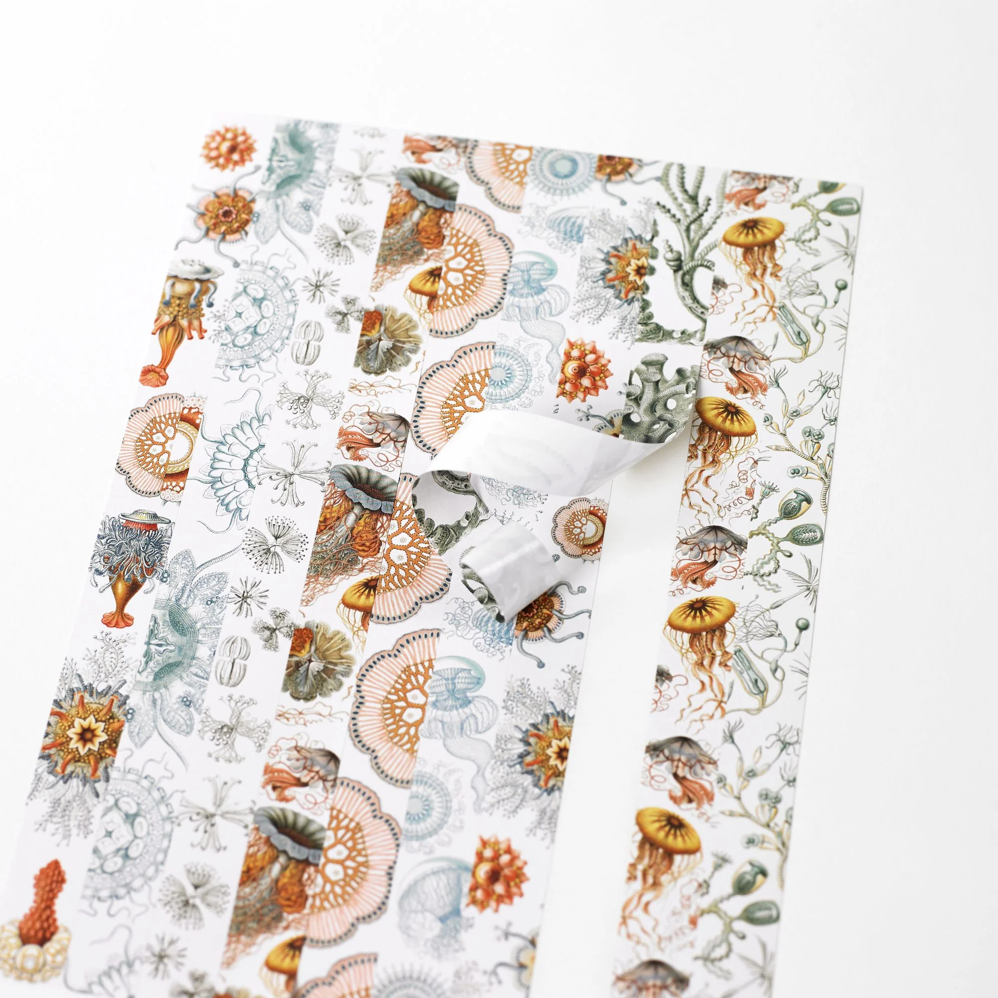 Art Forms in Nature Label, Sticker & Tape Book - Image 2
