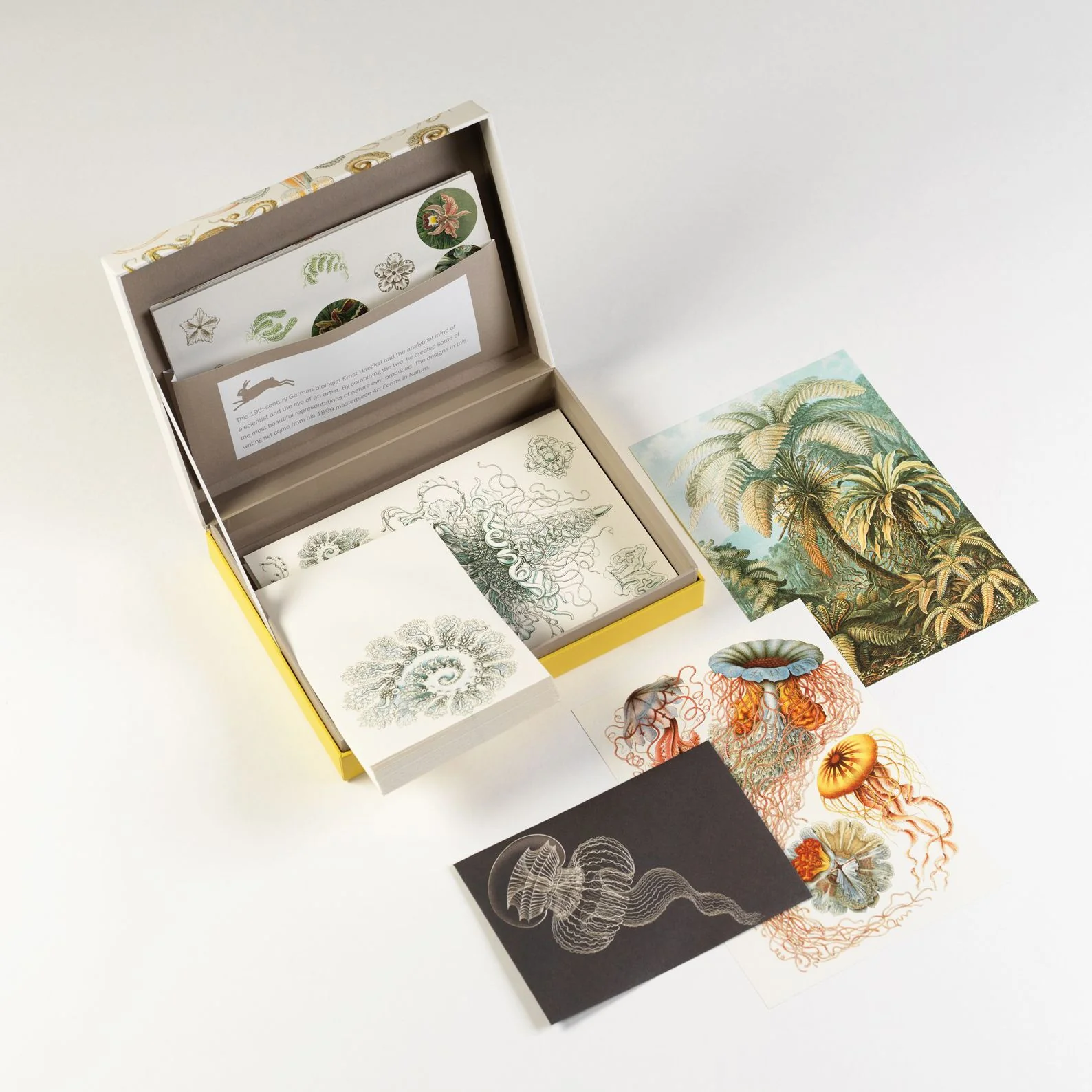 Art Forms in Nature Letter Writing Set - Image 2