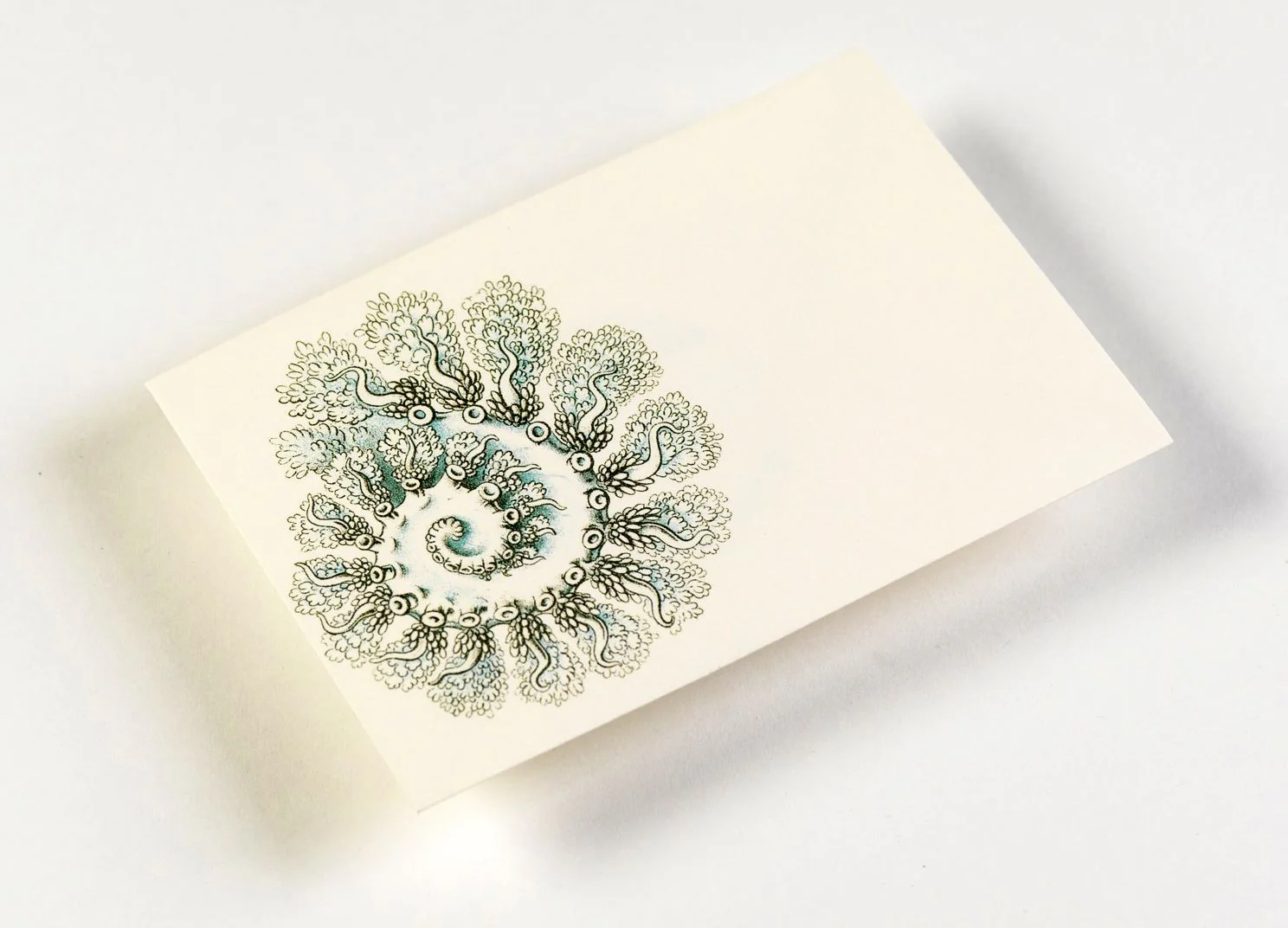 Art Forms in Nature Letter Writing Set - Image 3