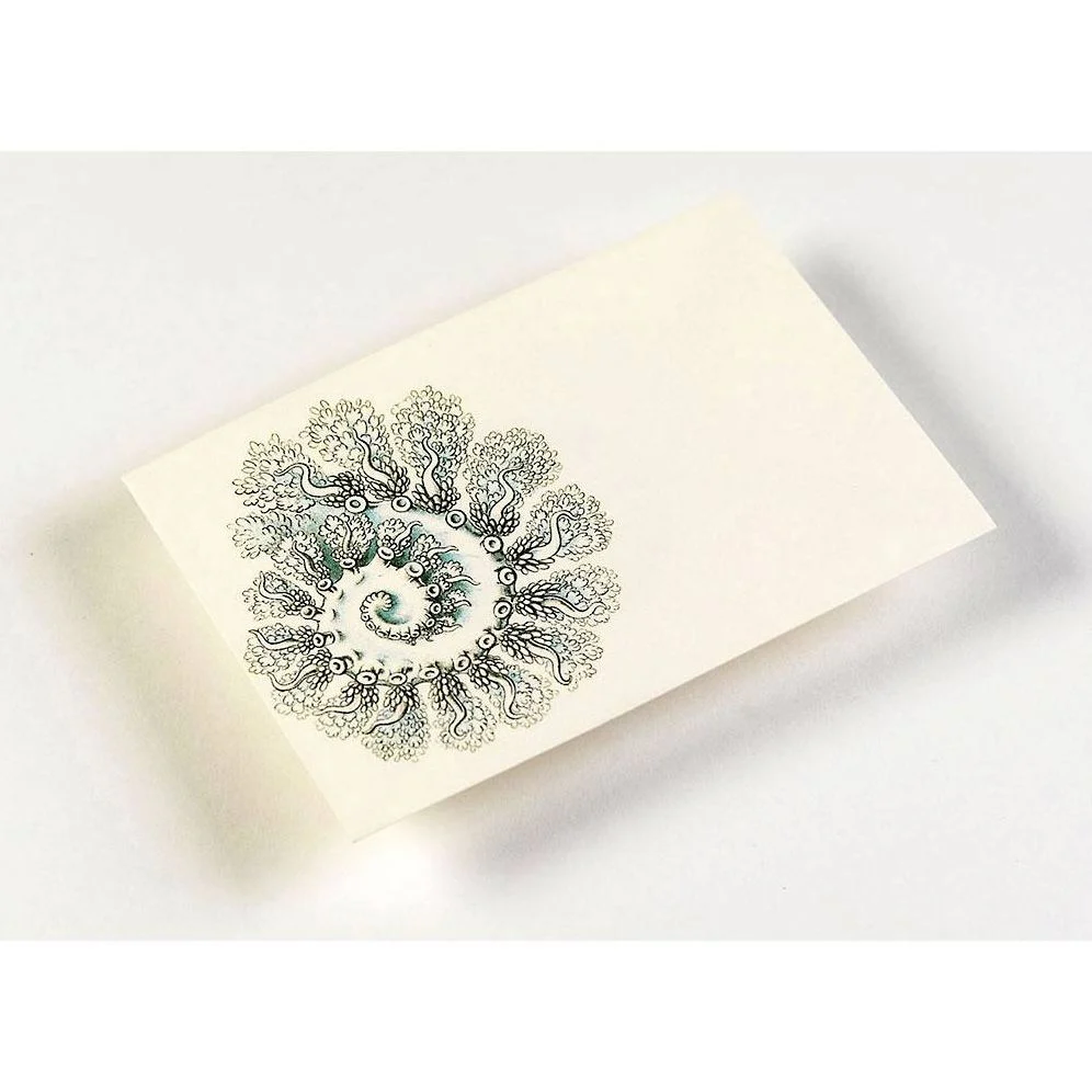 Art Forms in Nature Letter Writing Set - Image 4