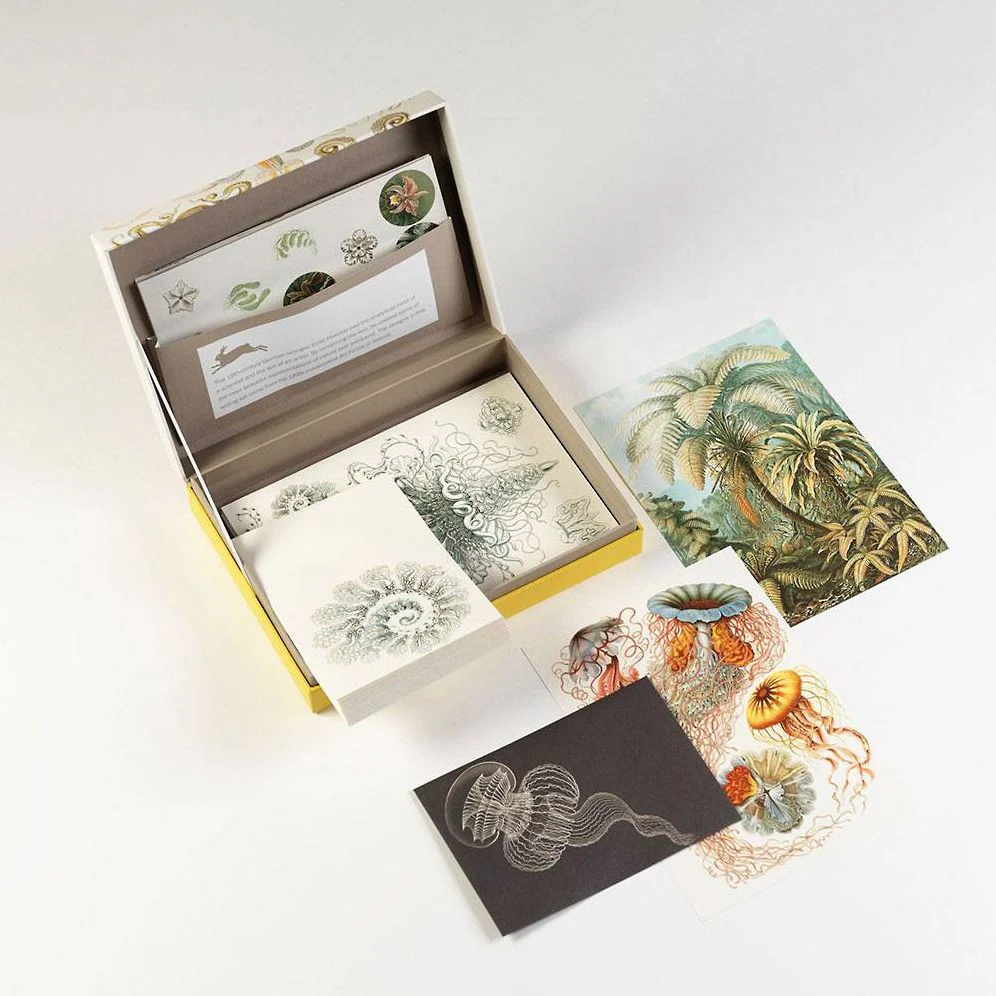 Art Forms in Nature Letter Writing Set - Image 5
