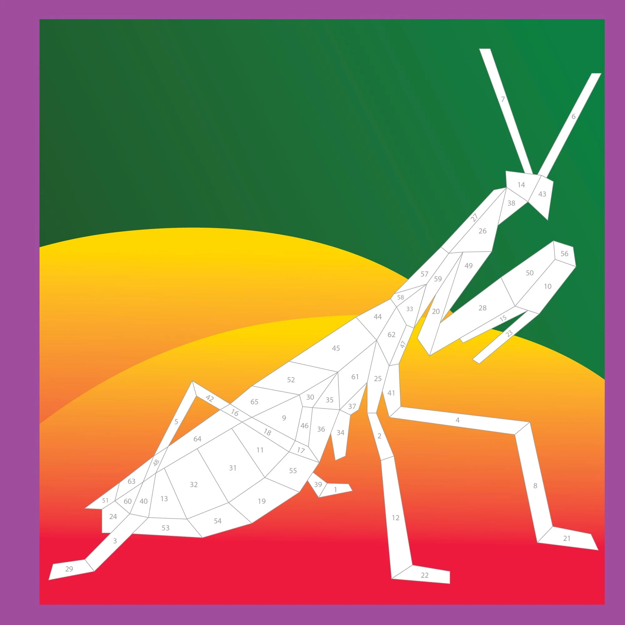 Beautiful Bugs (Paint by Sticker Kids Series) - Image 2