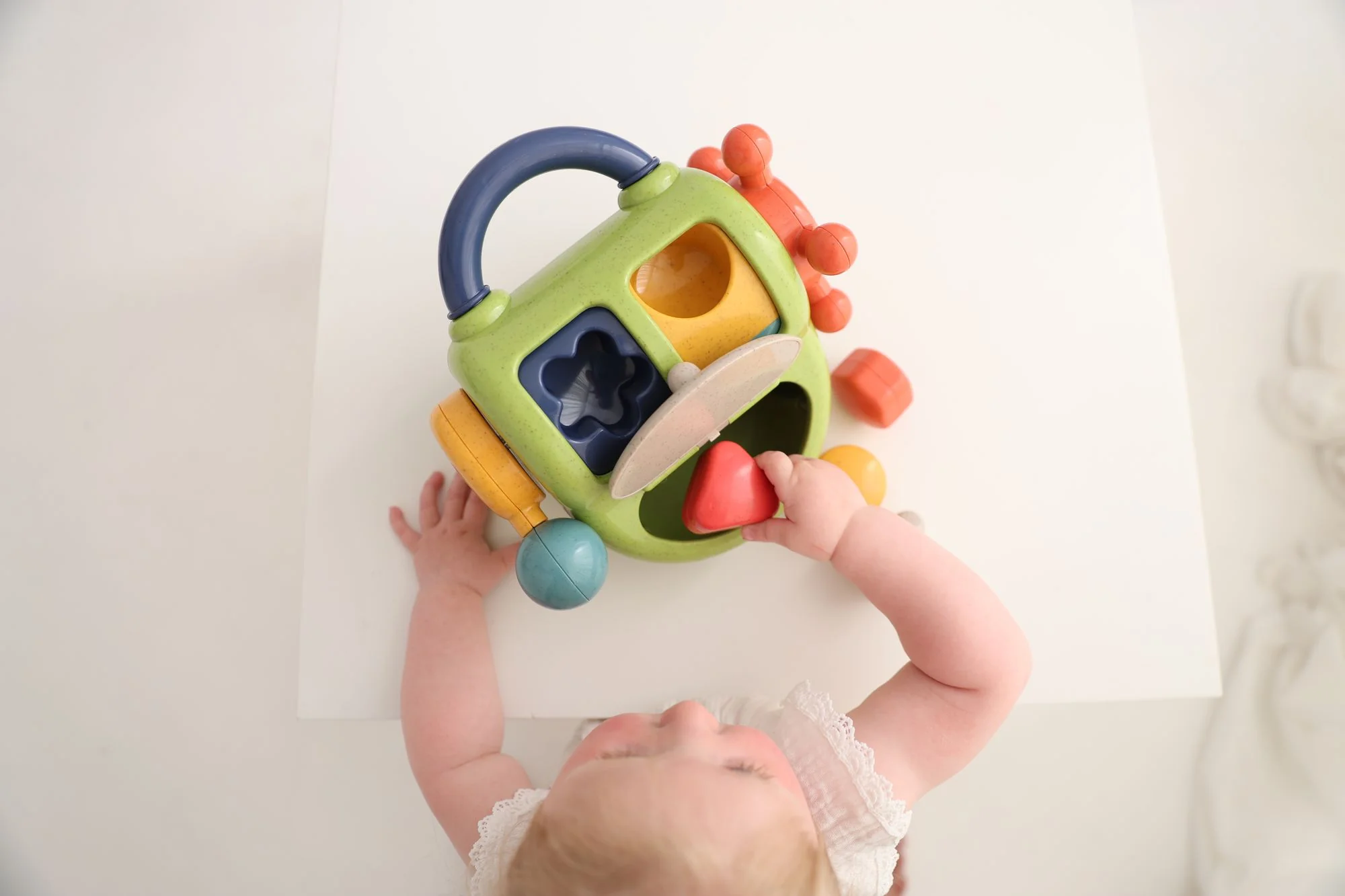 Bio Activity Shape Sorter - Image 4