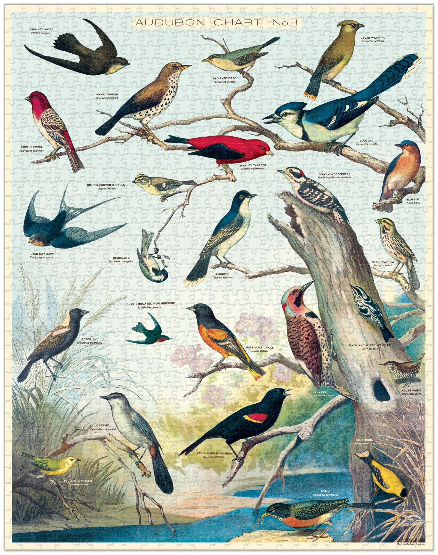 Birds 1,000 piece puzzle - Image 4