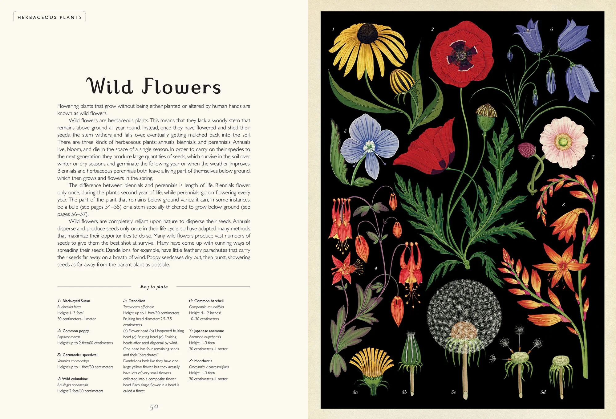 Botanicum (Welcome to the Museum Series) - Image 5
