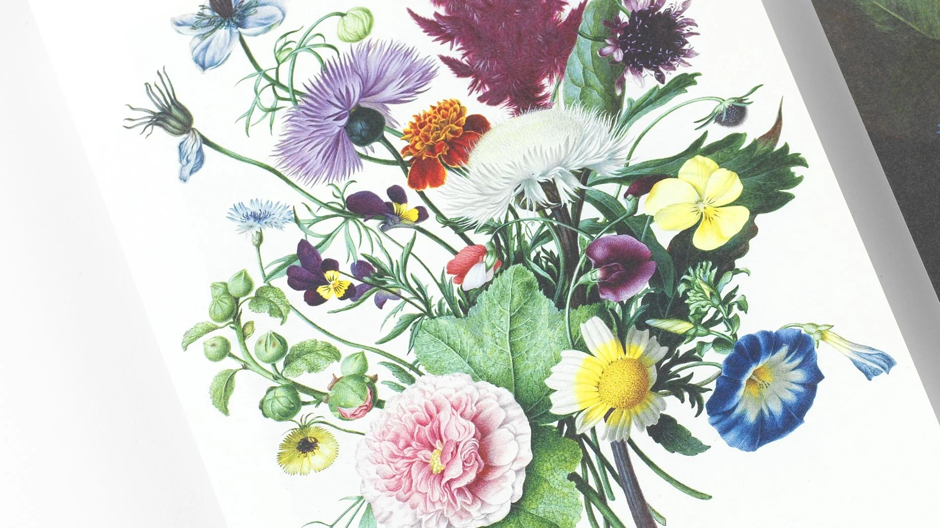 Bouquets A5 Notepad - Image 5
