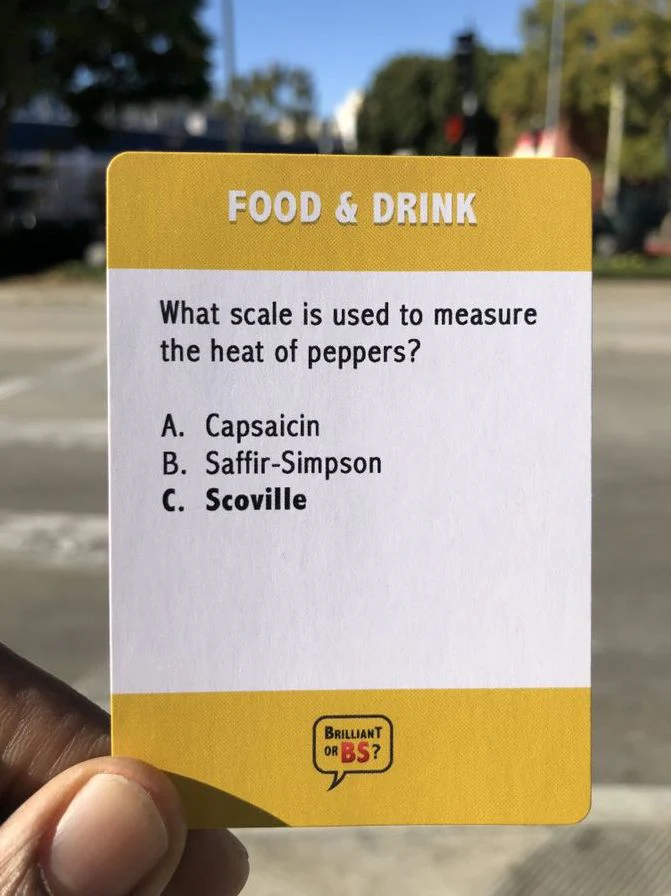 Brilliant or BS? Party Game by Kimelia Weathers Smith - Image 3