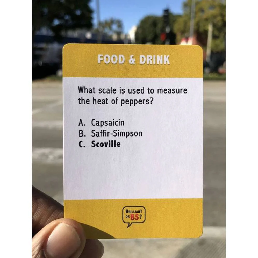 Brilliant or BS? Party Game by Kimelia Weathers Smith - Image 5