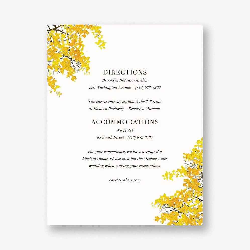 Buckhannon Information Card