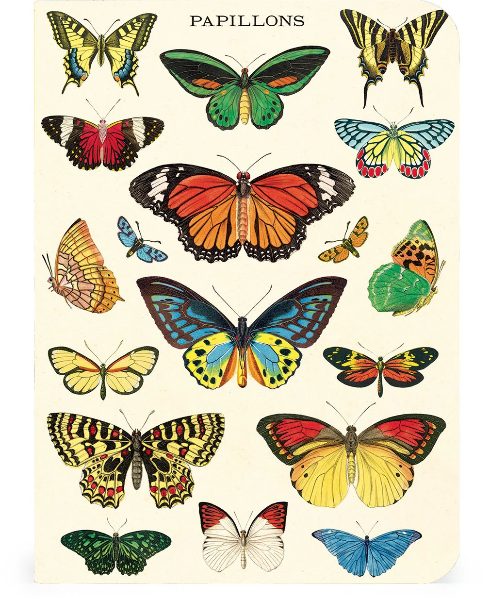 Butterflies Mini Notebooks - Set of 3 - Image 2