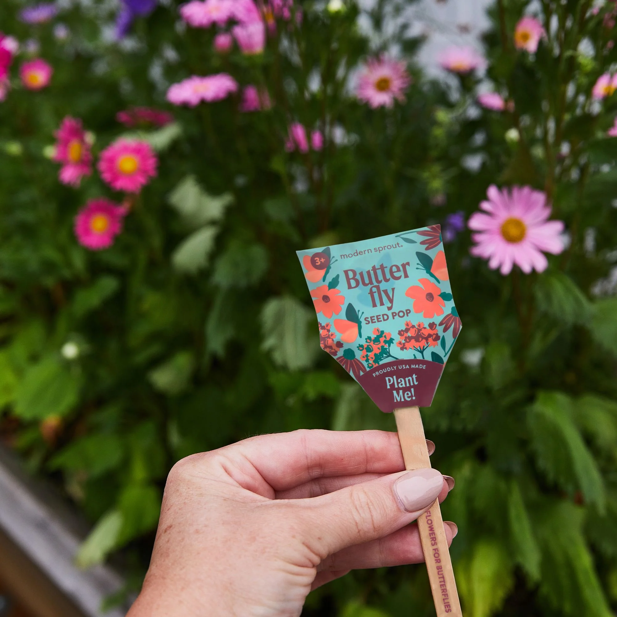 Butterfly Pollinator Seed Pop - Image 3