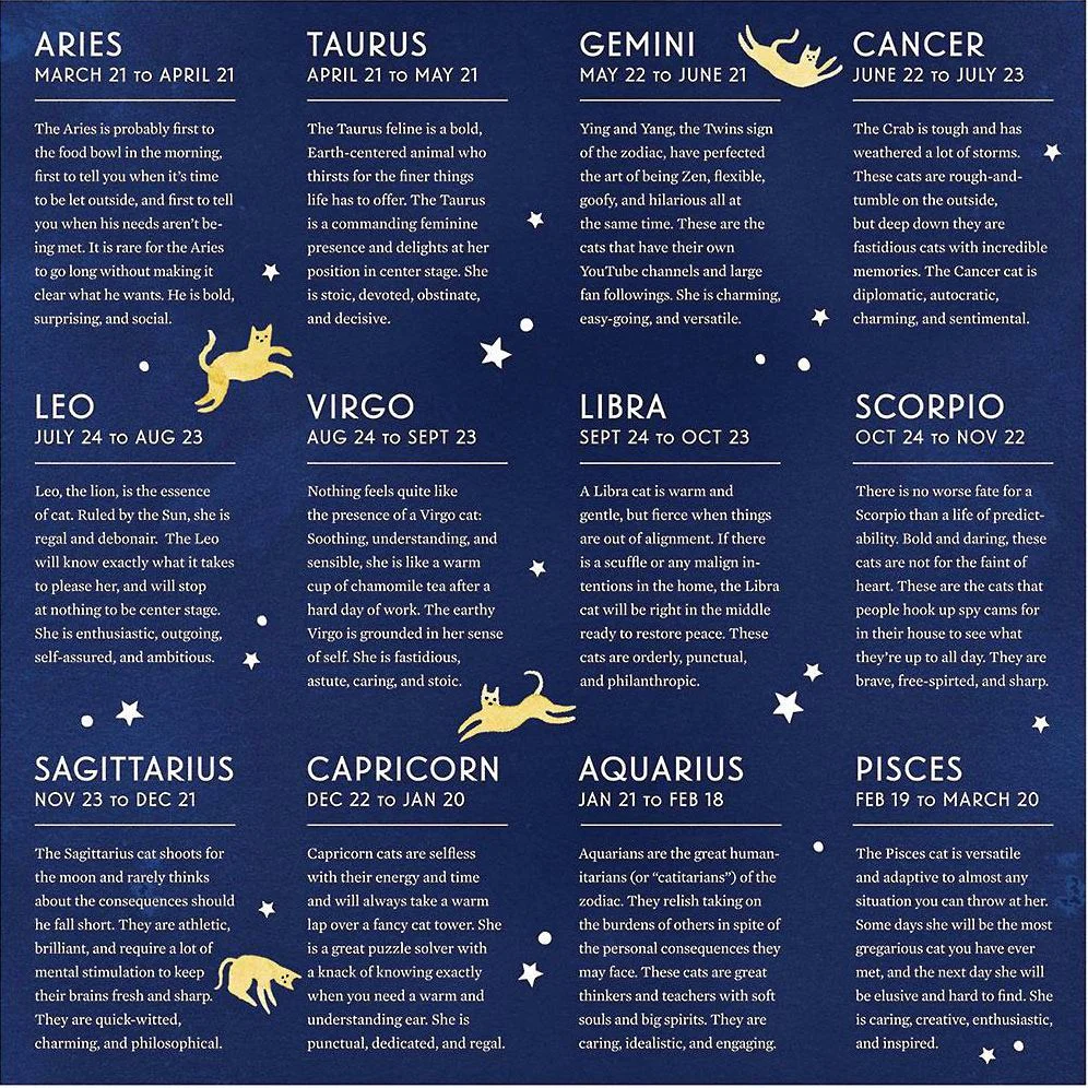 Cat Zodiac 500 Piece Puzzle - Image 9