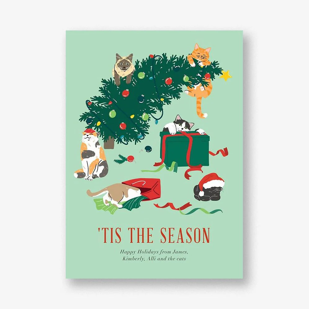 Cats in Trouble Holiday Card