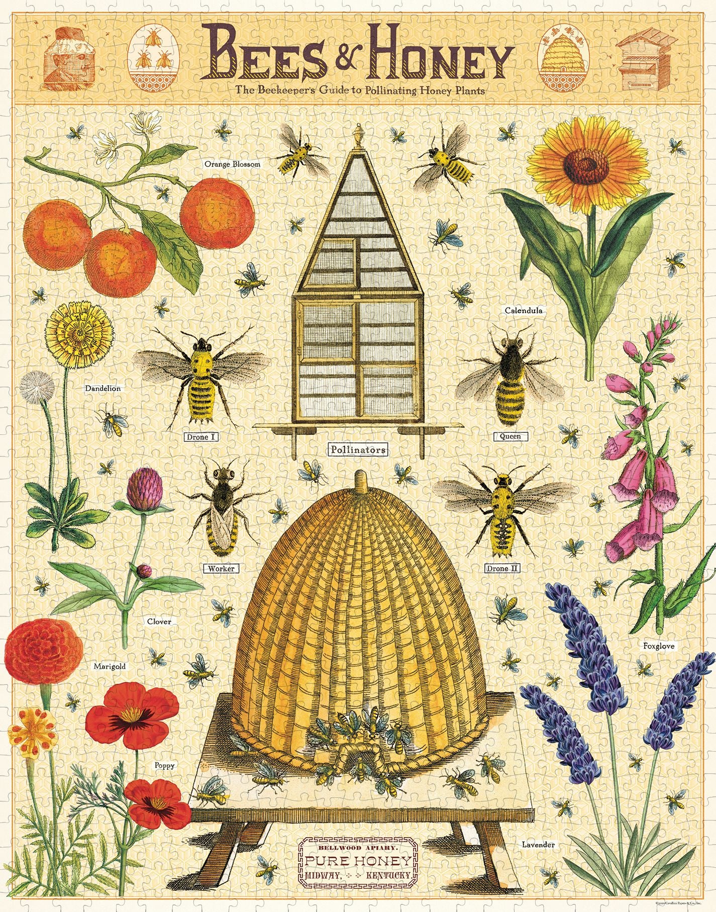 Cavallini & Co - Bees & Honey 1000 Piece Jigsaw Puzzle - Image 2