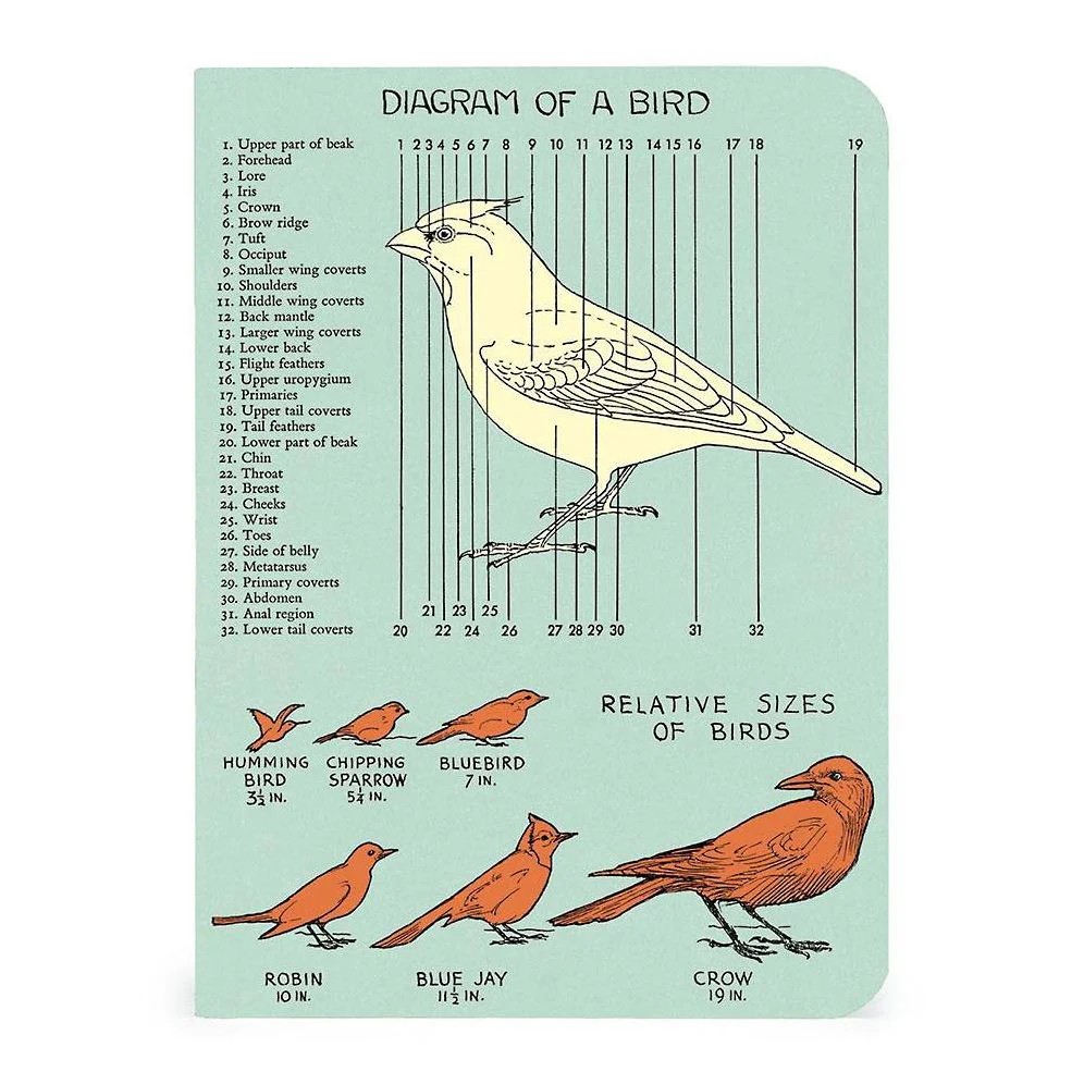 Cavallini & Co. Bird Watching Mini Notebooks - Image 3