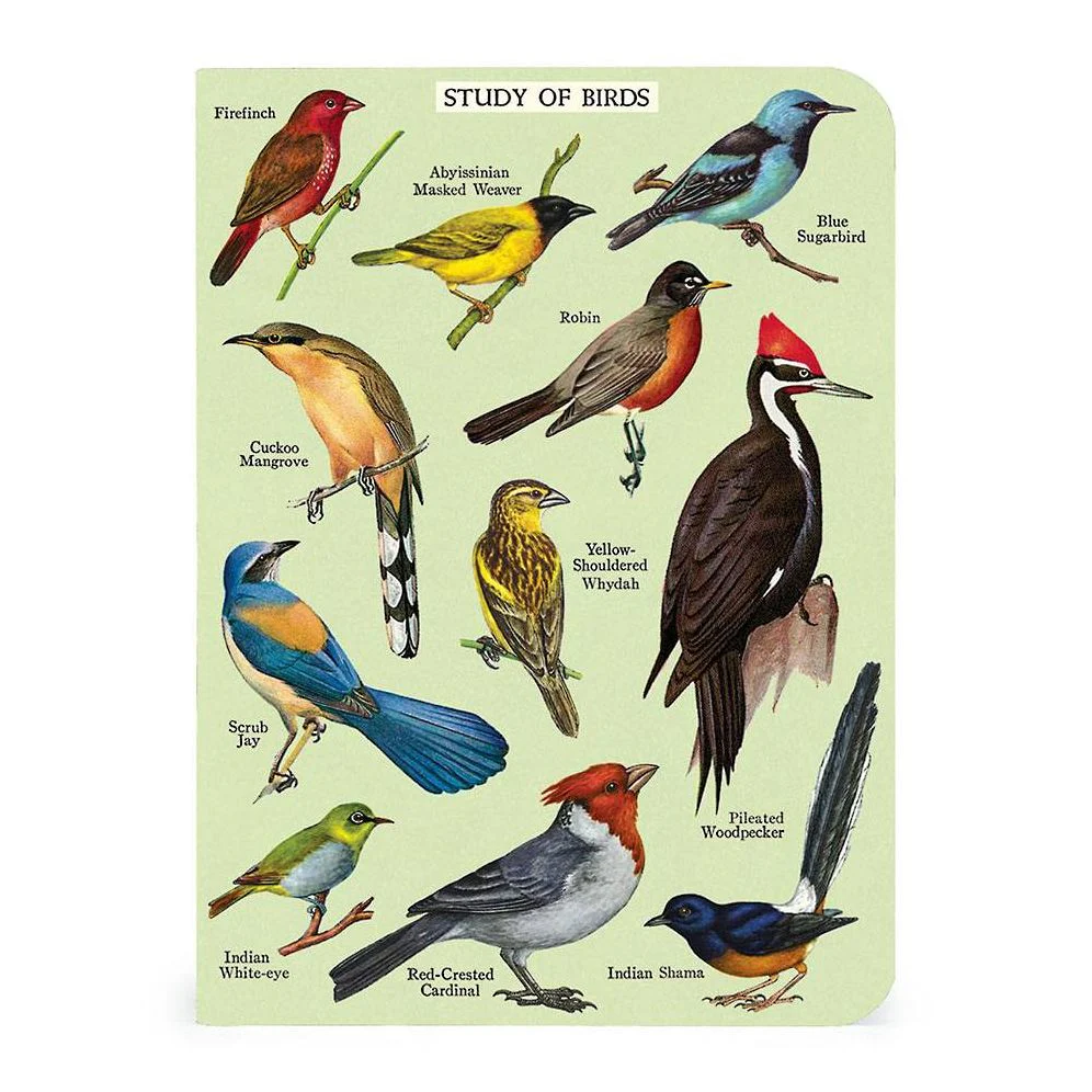 Cavallini & Co. Bird Watching Mini Notebooks - Image 7
