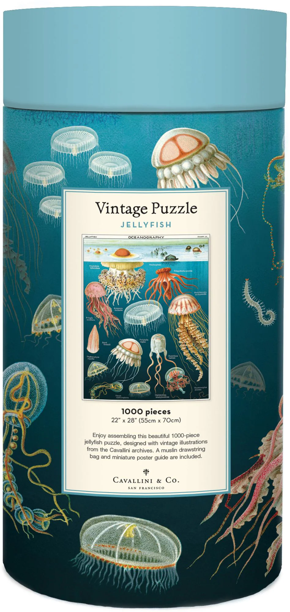 Cavallini & Co - Jellyfish 1000 Piece Jigsaw Puzzle - Image 3