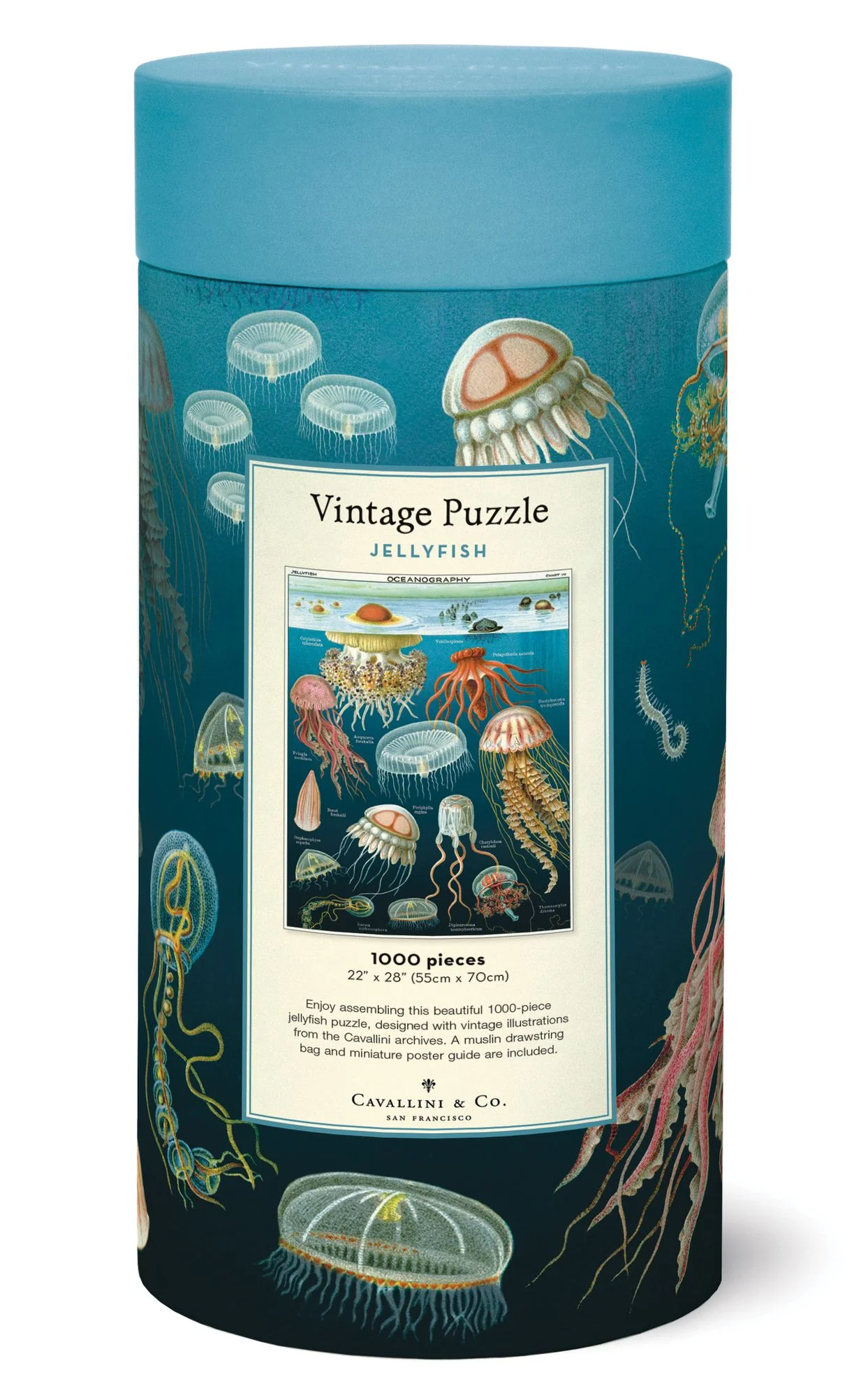 Cavallini & Co - Jellyfish 1000 Piece Jigsaw Puzzle - Image 5