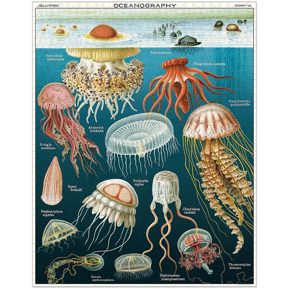 Cavallini & Co - Jellyfish 1000 Piece Jigsaw Puzzle - Image 6