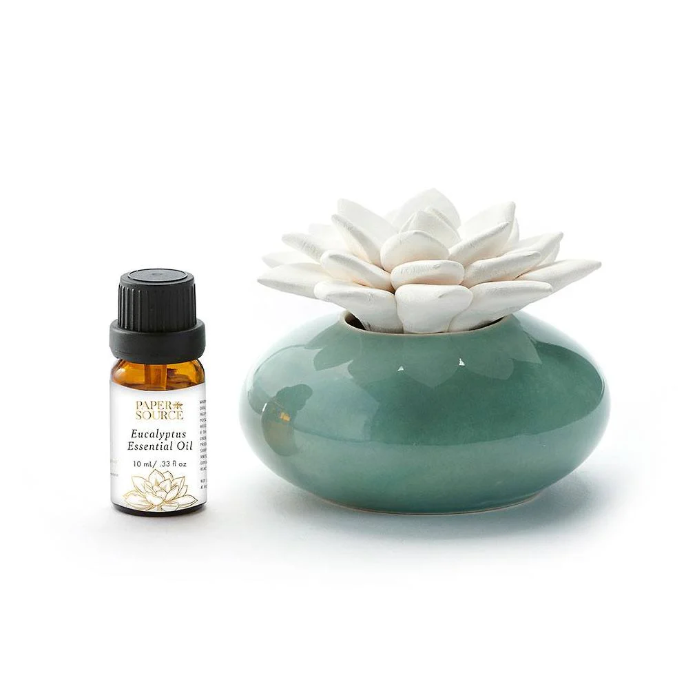 Ceramic Succulent Diffuser - Image 5