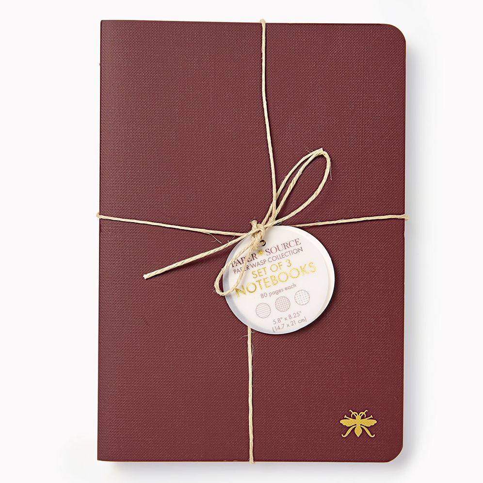 Chocolate Paper Wasp S/3 Notebooks - Image 2