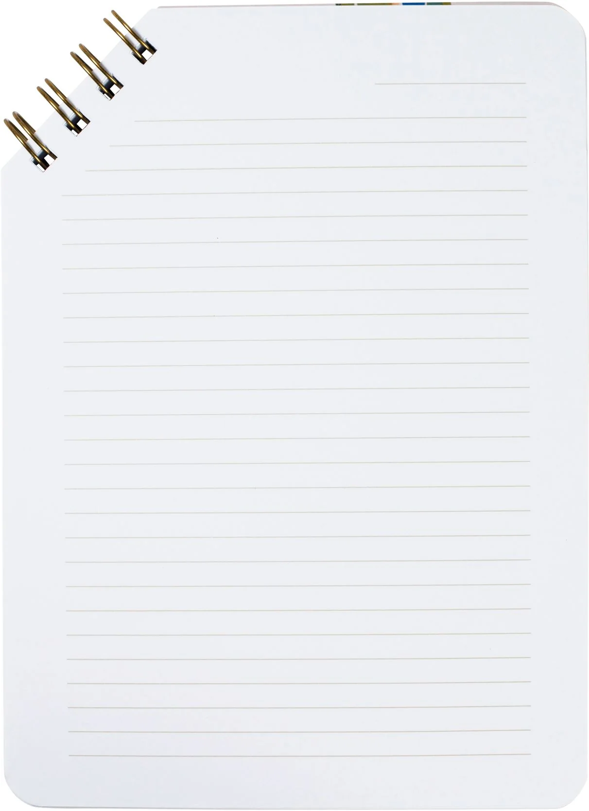 Colorful Seeded Eucalyptus Hardcover Corner Spiral Notepad - Image 2