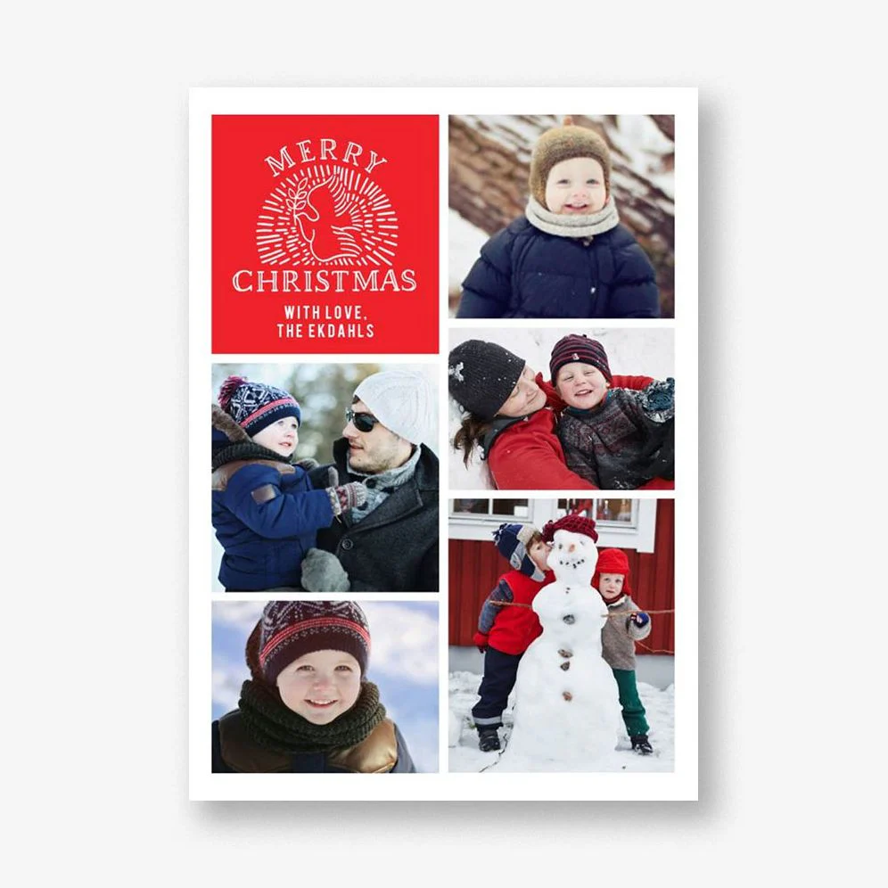 Columba Photo Card